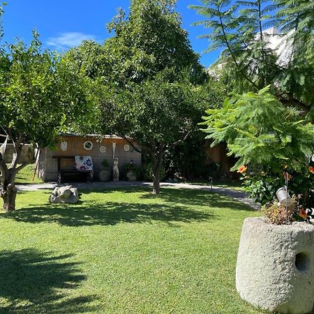 Garden Apartments Ischia Super Centrale Forio  Exterior photo