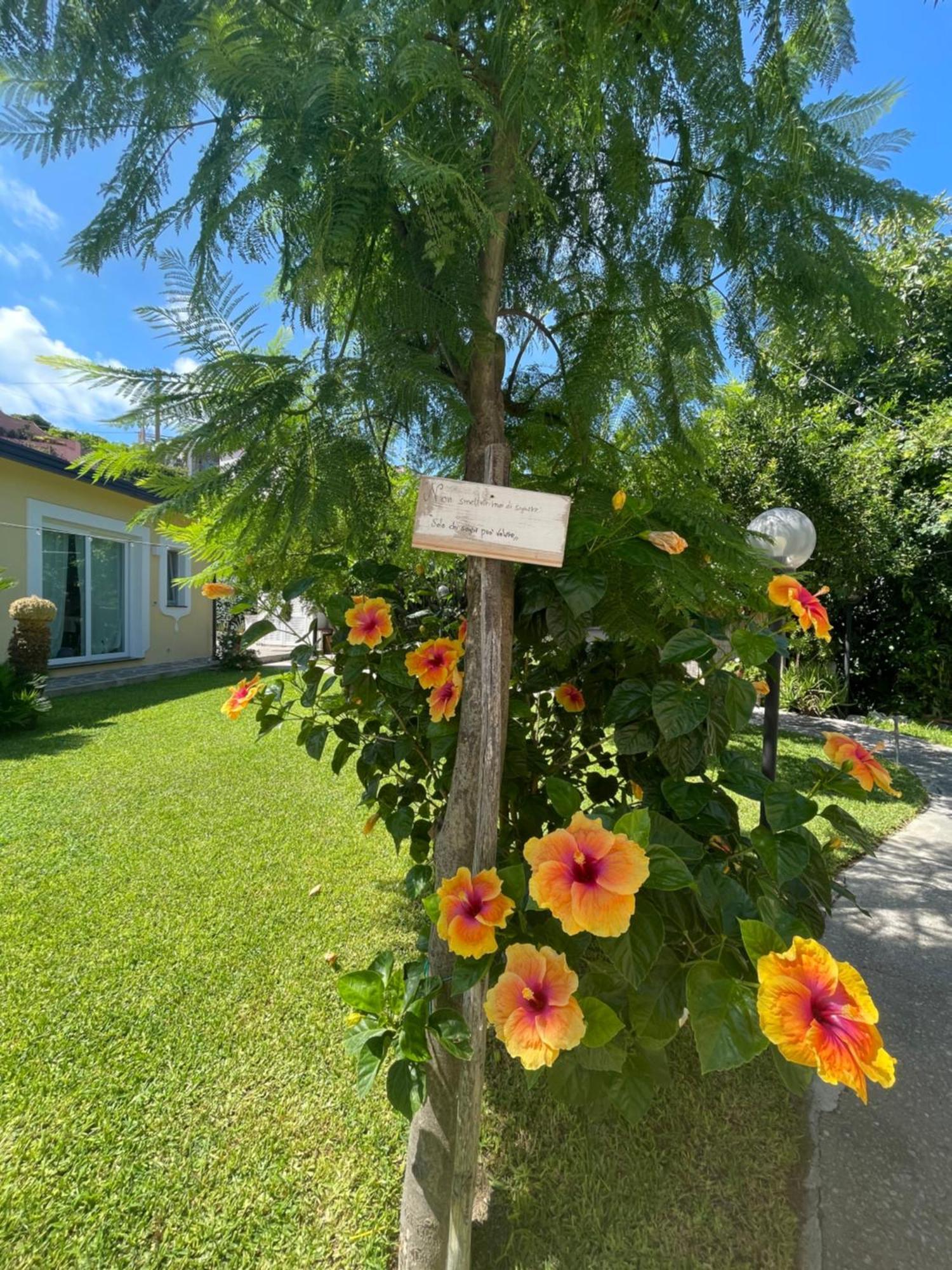 Garden Apartments Ischia Super Centrale Forio  Exterior photo